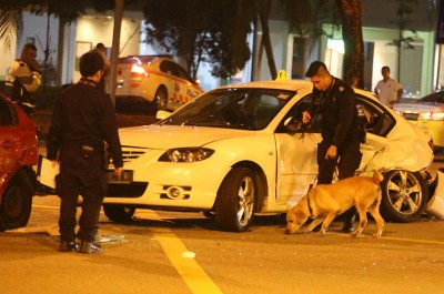 警方出动警犬搜查罪证。