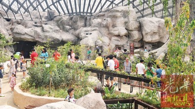 一场别开生面的蝴蝶昆虫学习之旅即将展开,”虫鸣大地”现已开放,即日起至7月30日访客可享优惠价。