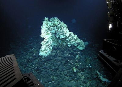 科学家仍无查出巨型海绵的项目。
