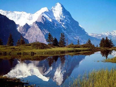 阿尔卑斯山。