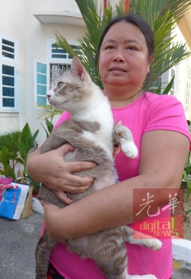 林素心展示原本被兽医判死只有三条腿的残疾猫菲立士。