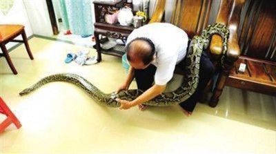 施继民无论由南王当大厅自由活动