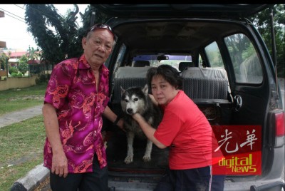 钟冠青及林莲珠把爱犬载上车后,开心的与Shiba一同合照。