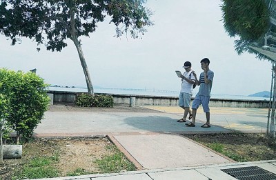 加巴星道的玩家们皆低着头寻找精灵宝可梦。
