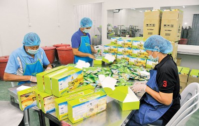 生产部员工做足卫生装备,确保产品卫生。