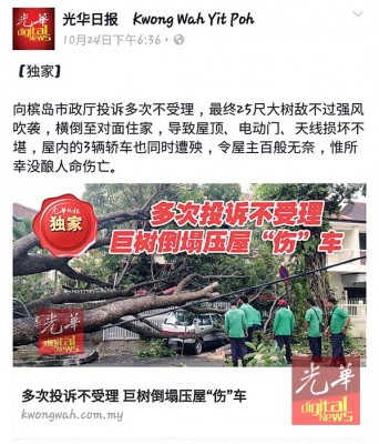“多次投诉不受理,巨树倒塌压屋伤车”新闻获读者关注。