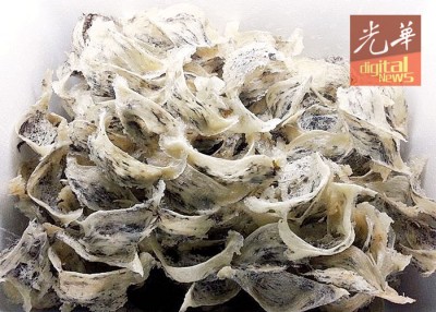 乘中国允准大马毛燕入口,毛燕价格有望三级跳。