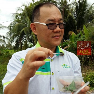 李衍旺博士出示其采集到的毛毛虫。