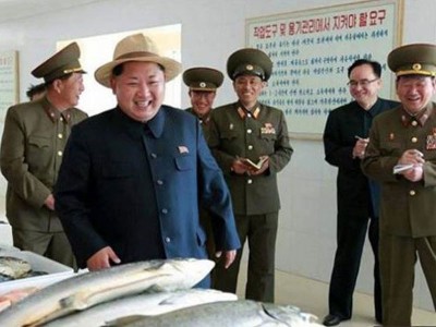金正恩月前当检查朝鲜水产事业所时,渴求群众每天应该吃300公克的鱼肉。