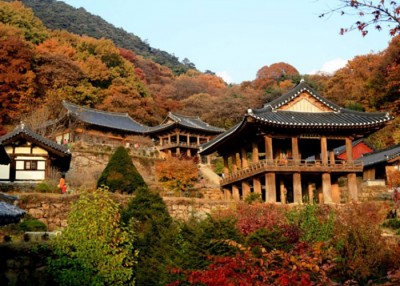 成功取回观音像的浮石寺。