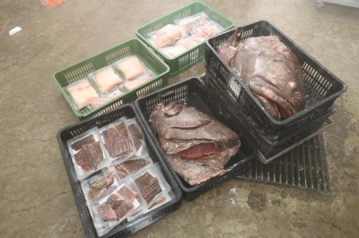 海鲜部员工花了整整3个小时,才把龙趸鱼清理好,并分切成不同部位,方便收藏与烹饪。
