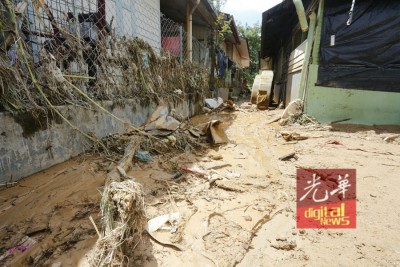 大量垃圾昨天随着河水冲到冷力新村住宅处。