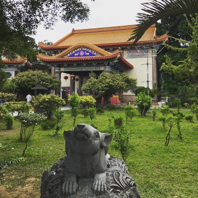 Gary抽空逛极乐寺。