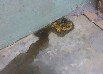 郭帟杋发现电脑桌下起不明液体。