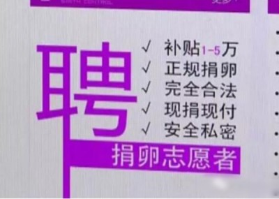 中国网络有不少捐卵广告,称可获逾万元“补贴”。