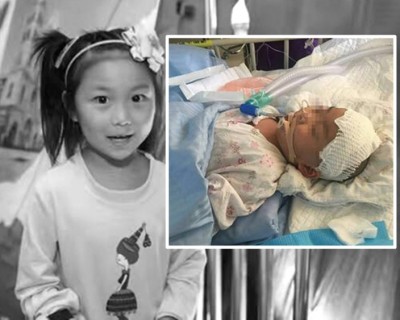 这名只有幼儿园大班的小女孩经已离开人世。