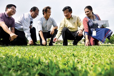 左起槟岛市议员王宇航、丹绒国会议员黄伟益、槟岛市政厅秘书尤端祥、曹观友和槟首长机构副经理峇拉迪,忍不住蹲下,摸一摸“百万草坪”。