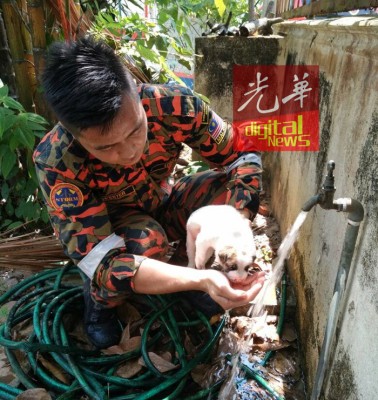消拯员救出小狗后,使用清水清洗小狗脸上的伤口。