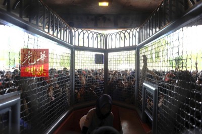 由于群情汹涌有失控迹象,售票柜台被迫暂停卖票。