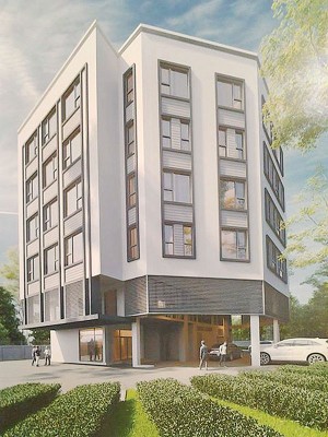 净莲慈悲院新厦建筑草图。