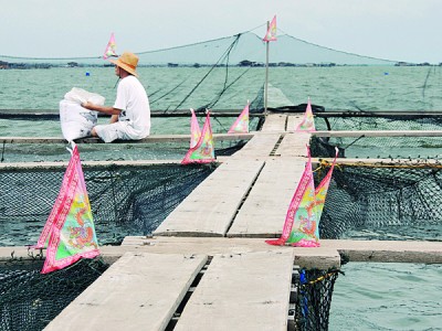 海上庆赞中元,养鱼场周围也插满祭旗。