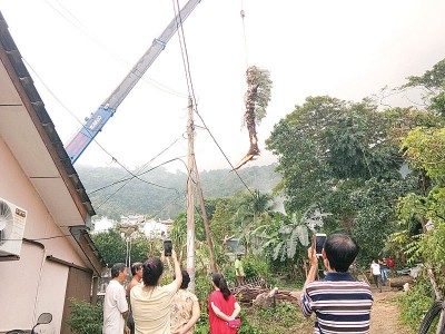 行动党亚逸布爹选区服务中心出动起重机将压在屋子范围的树干、树枝逐步移除。