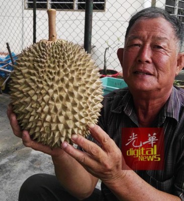 胡振泰:“这就是大家所追求的猫山王了!”