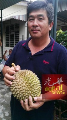 黄志明:“浮罗山背各区榴梿园开始开花结果,若天气稳定,农历新年也可吃到榴梿。