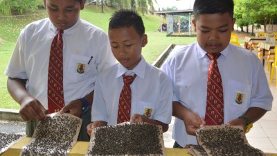 3称被平等学生示出粘满苍蝇的苍蝇贴纸。