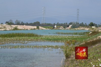 这条河被当地居民称为“蓝阿亚河”。
