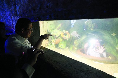 林秀琴(右)尝试精品水族馆的近距离接触海底动物一环,左为林冠英。