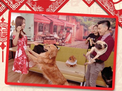 李吉汉同梁祖仪和IGO PET CAFE 的狗狗们相见欢,直接让狗狗团团围的半人口,开心和狗狗度过欢乐午后。