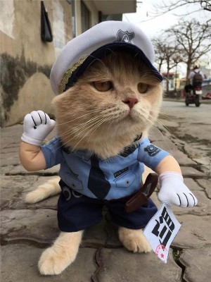 “狗”的警察装扮。