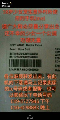 圖為陳佩杏的手機型號、顏色、IMEI號碼及序列號。