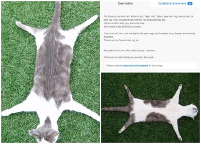 猫咪地毯保持至理想状态,卖家(右上)重形容适合买不起贵价真皮地毯的买家。