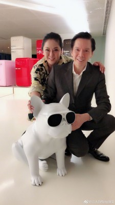 陈岚是香港电影大亨向华强的老婆。
