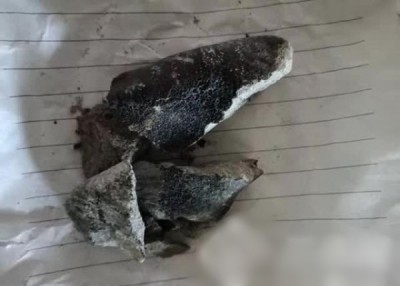追寻获的陨星颜色乌黑。