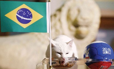 聋猫神准