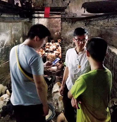 尽管如此善后困难,义工们以会持续救狗行动。