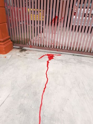 谢目光的住家遭阿窿上门掷红漆。