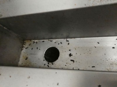 餐馆厨房里发现老鼠屎。