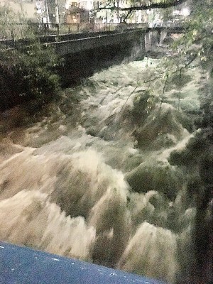 东京目黑川溪水暴涨。