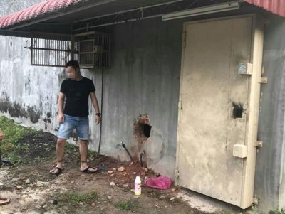 窃燕窝事件已经达到无法无天的地步,干案者带着工具凿墙挖洞,甚至数层的墙也照样破墙而入。