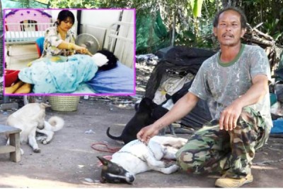 关于这起事情,狗主背口担任,沒有过指視父童野人沒有要索过下的赔偿,因为他可以或許没才气累坠。
