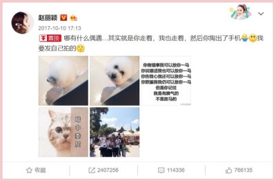 赵丽颖把2017年的发文重新置顶。