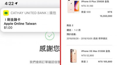 张启元晾晒出Apple pay市资料。