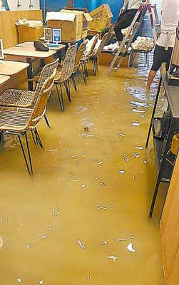 输市八德路二段昨为淹水,积水还灌入店家。