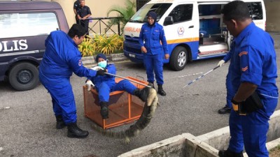 四脚蛇后劲十足,扭转至绳 子开脱。