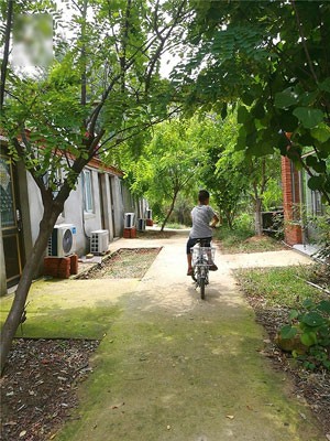 诸志松购入无为岛后,在岛上开地、开路、建房,让妻儿好好生活。