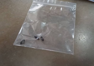 在该点心楼内的厨房寻获的老鼠屎。